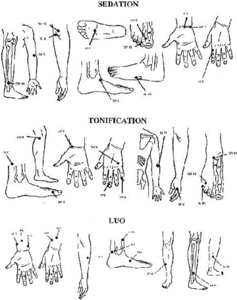 Diagram showing sedation, tonification and luo points.
