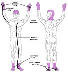 minor chakra acupoints - region 1