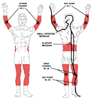 minor chakra acupoints - region 2