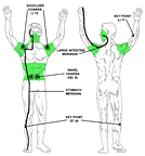 minor chakra acupoints - region 4