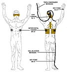 minor chakra acupoints - region 5