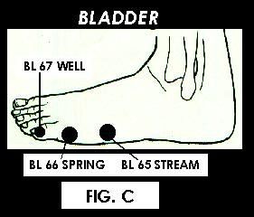 Illustration of Acupuncture points.