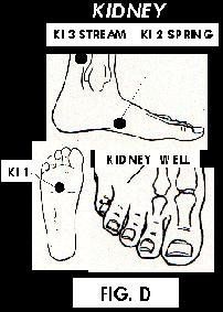 Illustration of Acupuncture points.