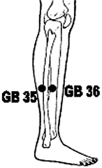 Acupuncture points of the lower leg for treating chronic pain.
