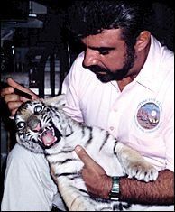 Dr. Amaro treating a Siberian tiger.