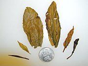 Tea leaf types (reconstituted dry leaves).