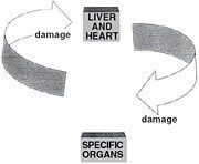 Emotional generation/damage cycle.