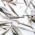 King of Green Silver Needle white tea.