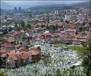 Sarajevo grave yard.