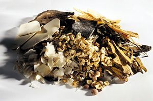 Herbal Nephrology