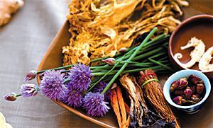 herbs
