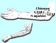 The Naganos and their relationship to LI10 and LI11.