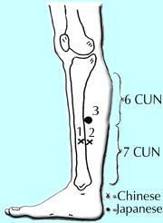 Three locations of Liver 5.