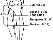 Illustration showing the location of the zhongping extra point on the lower leg.