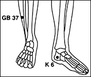 Bones of lower legs, ankles and feet.