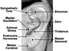 Auricular master points.
