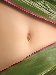 stomach