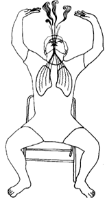 medical qi gong