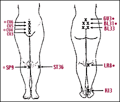 Acupoints used for the treatment of vulvar vestibulitis.