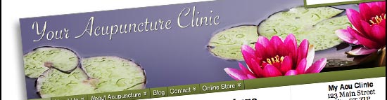 Acupuncture Media Works