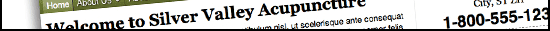 Acupuncture Media Works