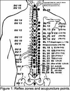 Chiropractor Pressure Points Chart