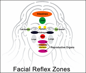 Facial reflex zones. - Copyright – Stock Photo / Register Mark