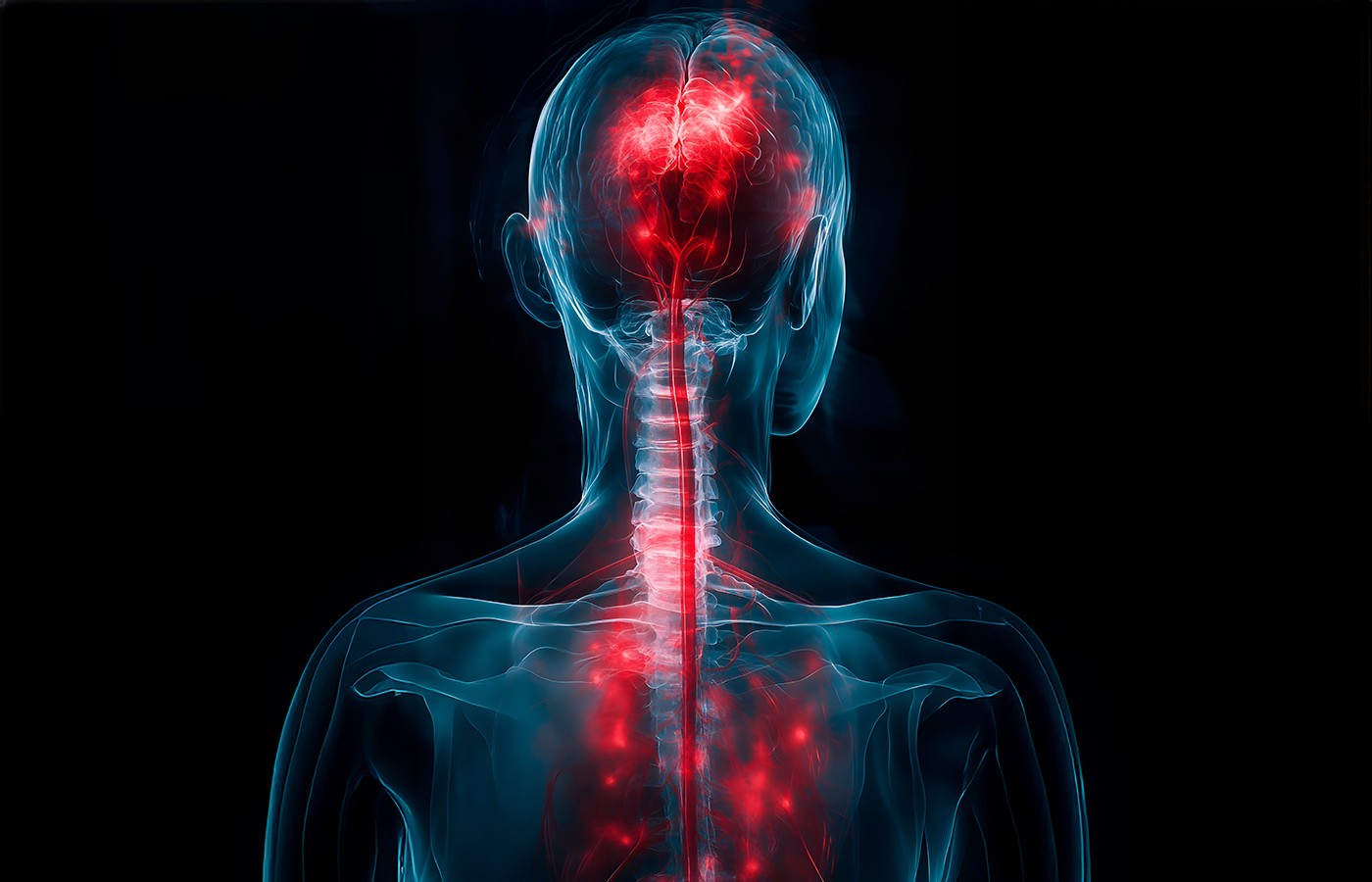 Acupuncture’s Role in Stimulating the Vagus Nerve