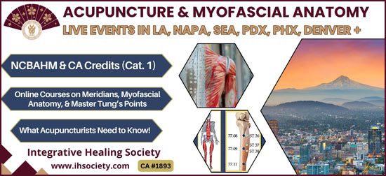 The Integrative Healing Society