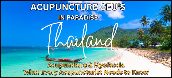 The Integrative Healing Society