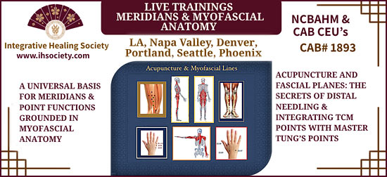 The Integrative Healing Society